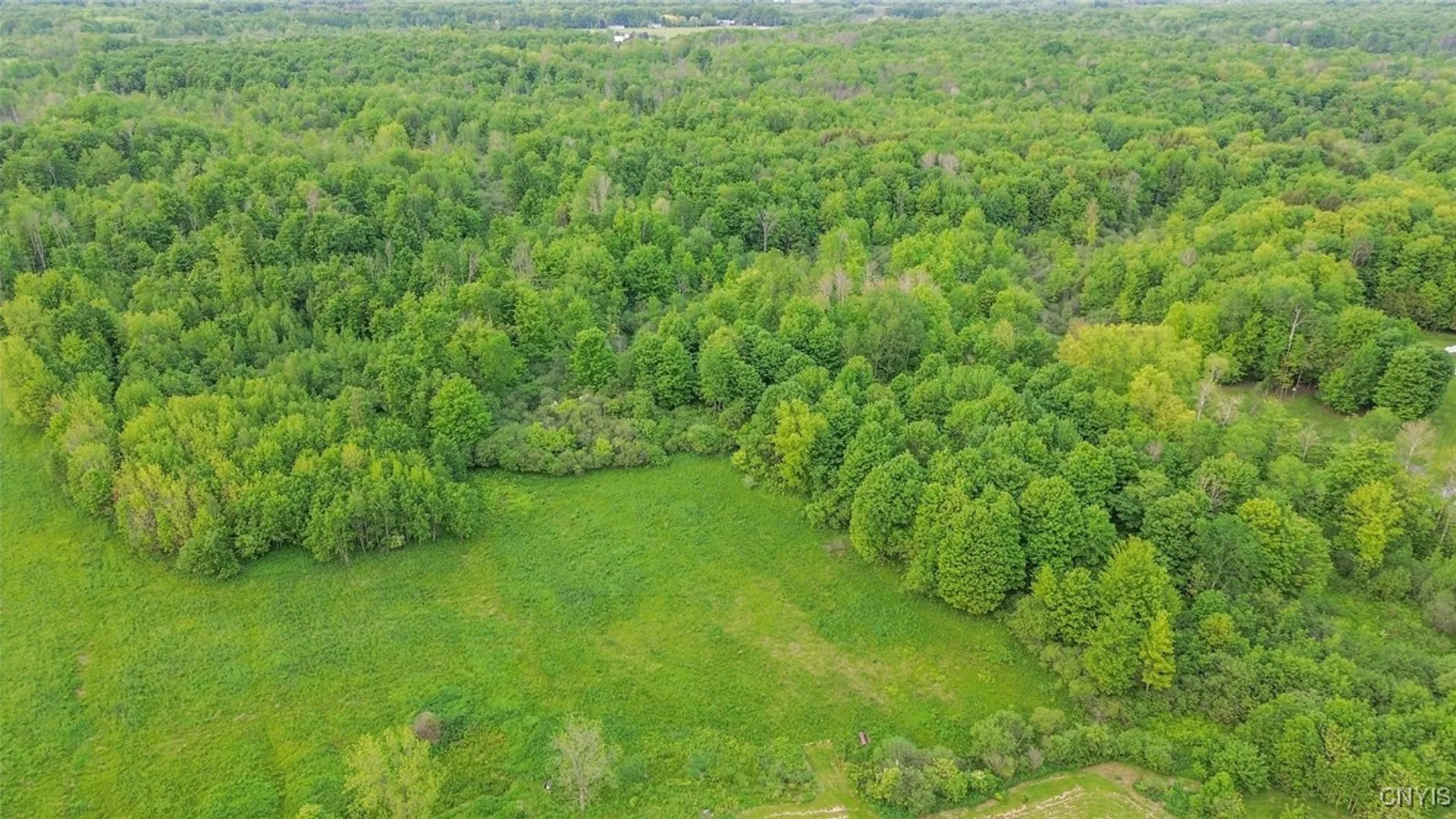 Property at Halsey Rd Road, Richland, NY 13142 8