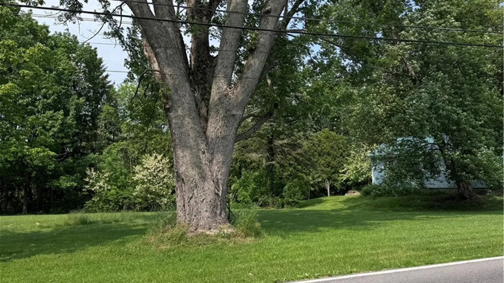 Property at Mud Mill Road, Cicero, NY 13029 3