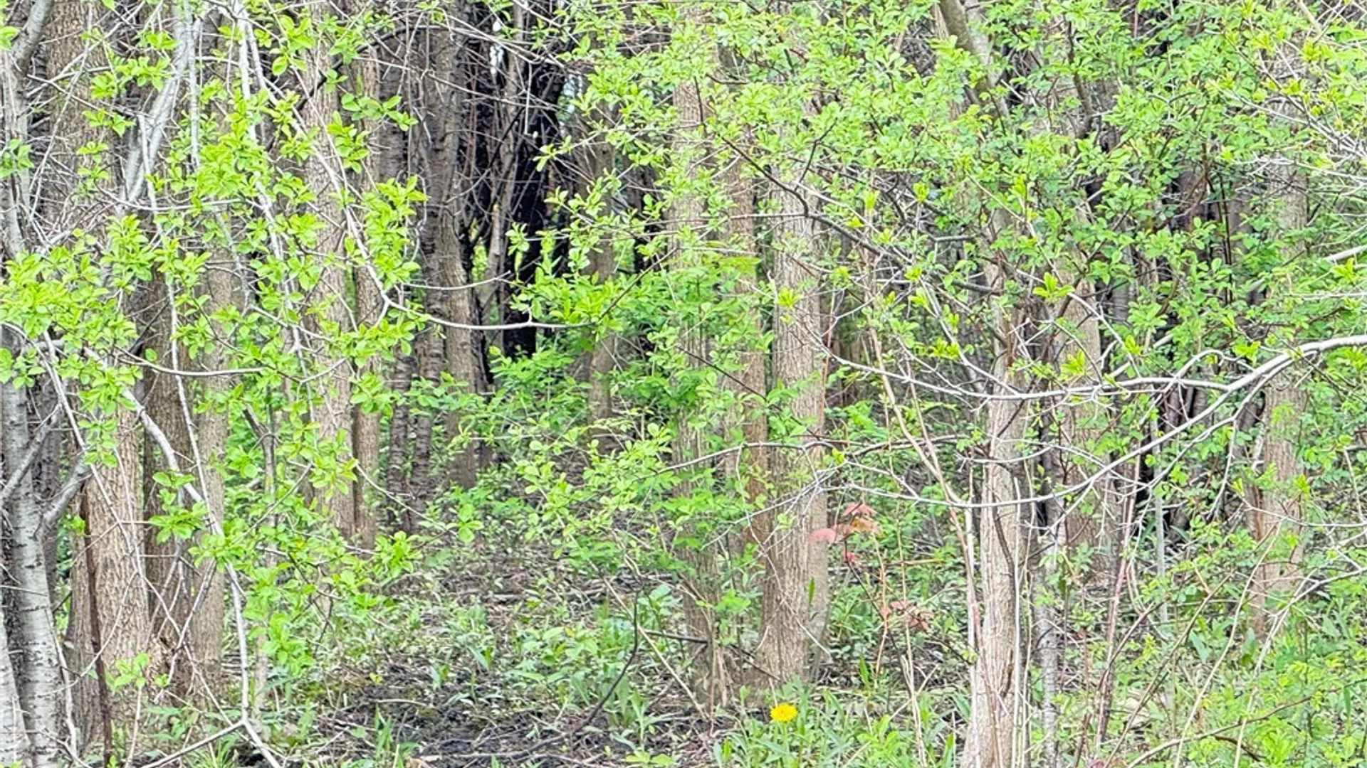 Property at 0 Klocks Corners Road, Scriba, NY 13126 11