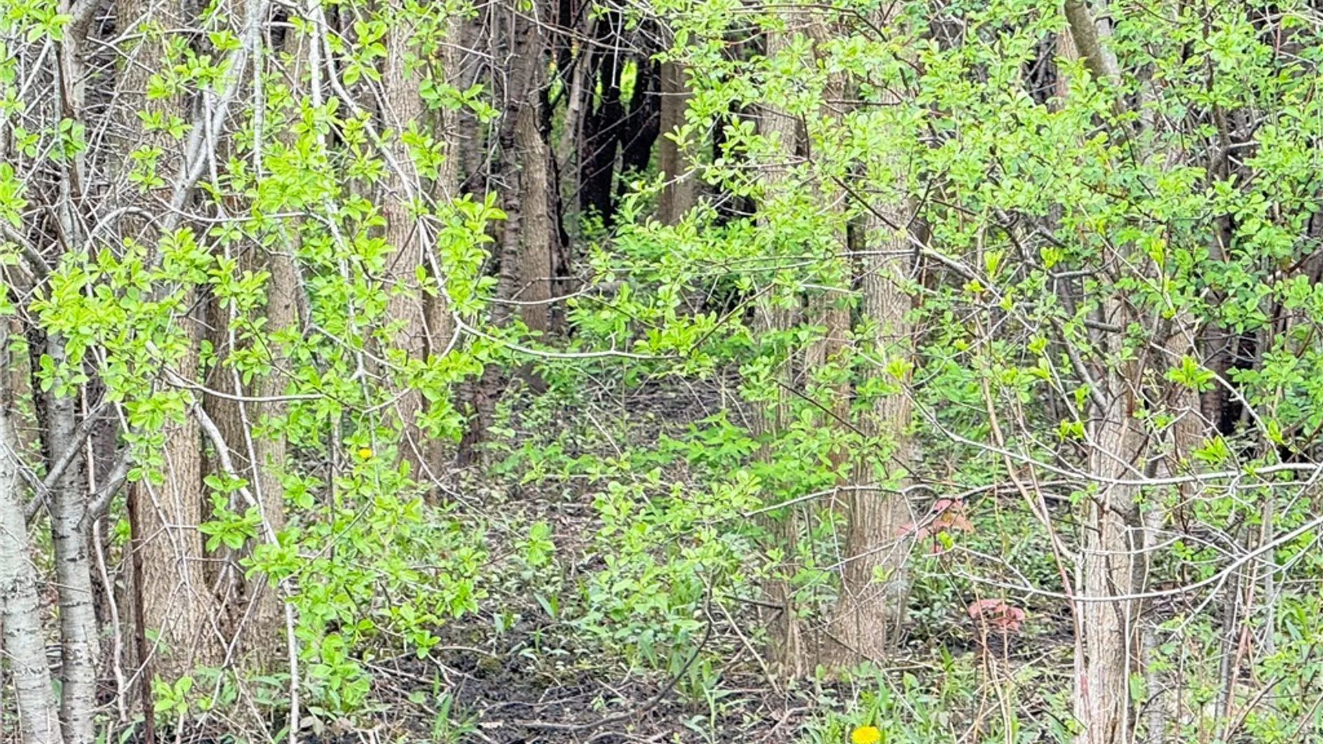 Property at 0 Klocks Corners Road, Scriba, NY 13126 12