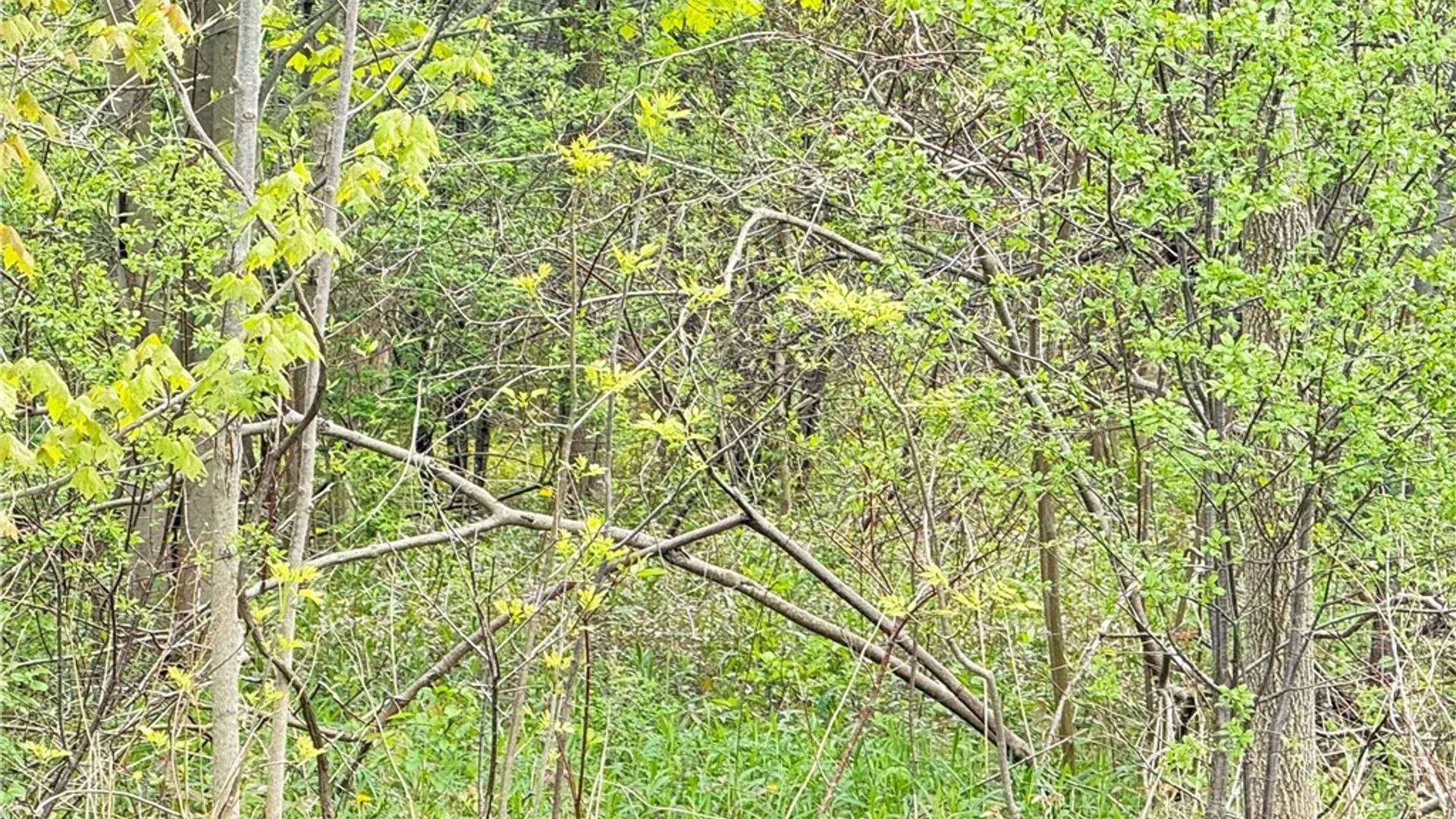 Property at 0 Klocks Corners Road, Scriba, NY 13126 18