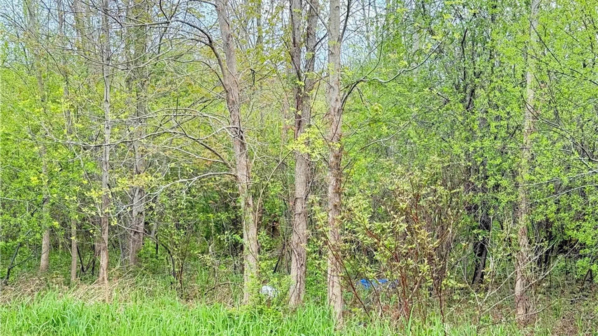 Property at 0 Klocks Corners Road, Scriba, NY 13126 2