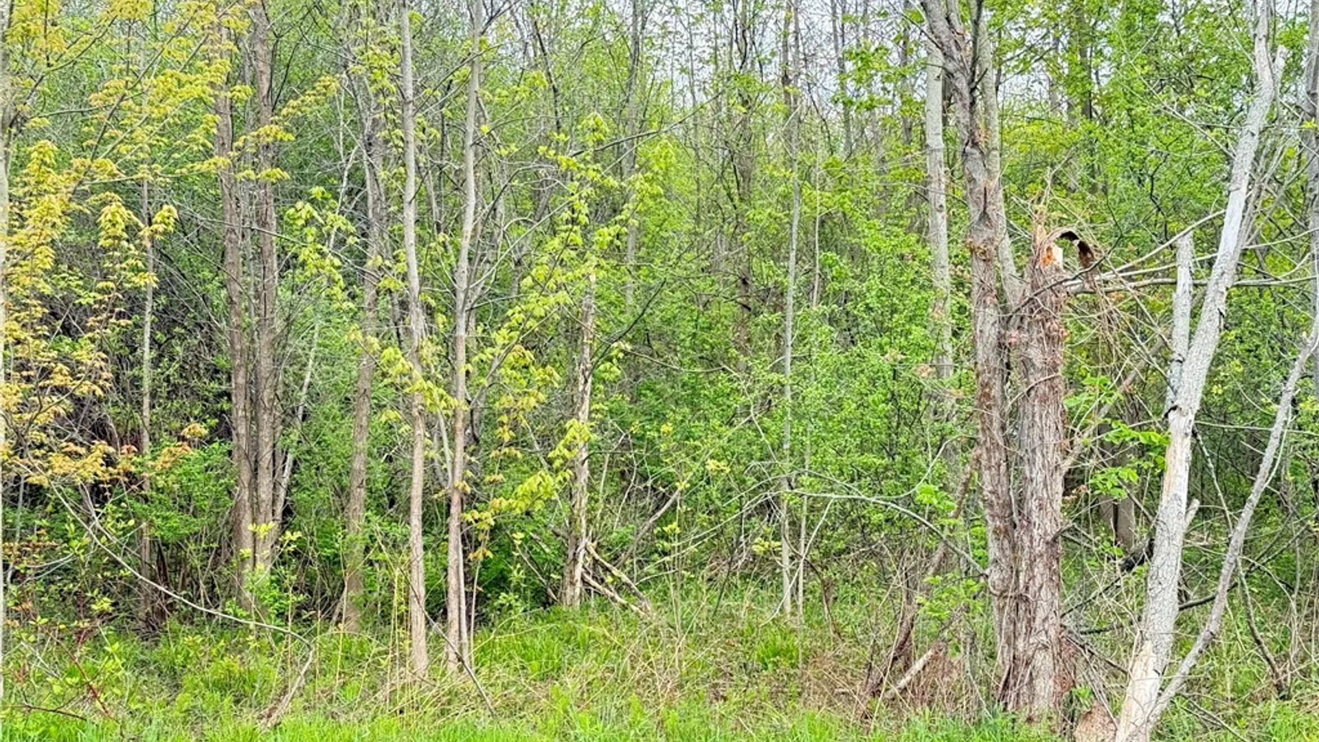 Property at 0 Klocks Corners Road, Scriba, NY 13126 6