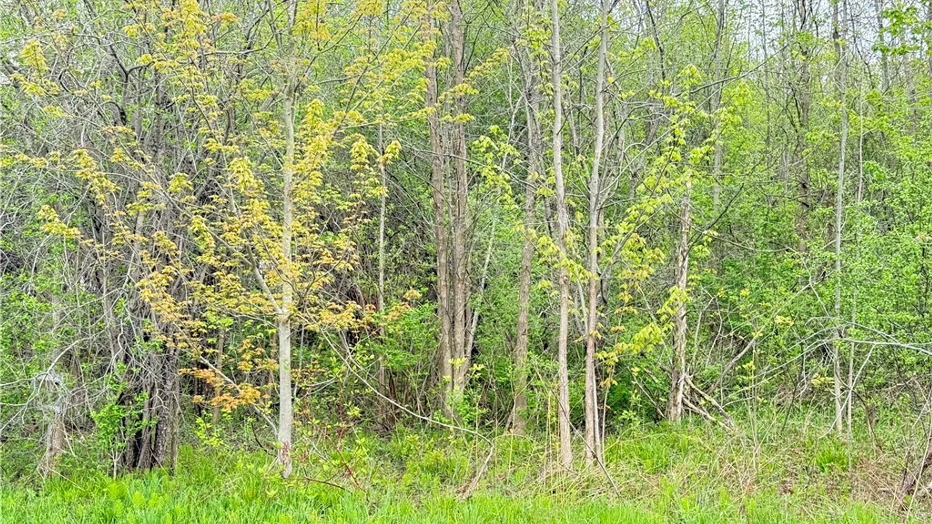 Property at 0 Klocks Corners Road, Scriba, NY 13126 7