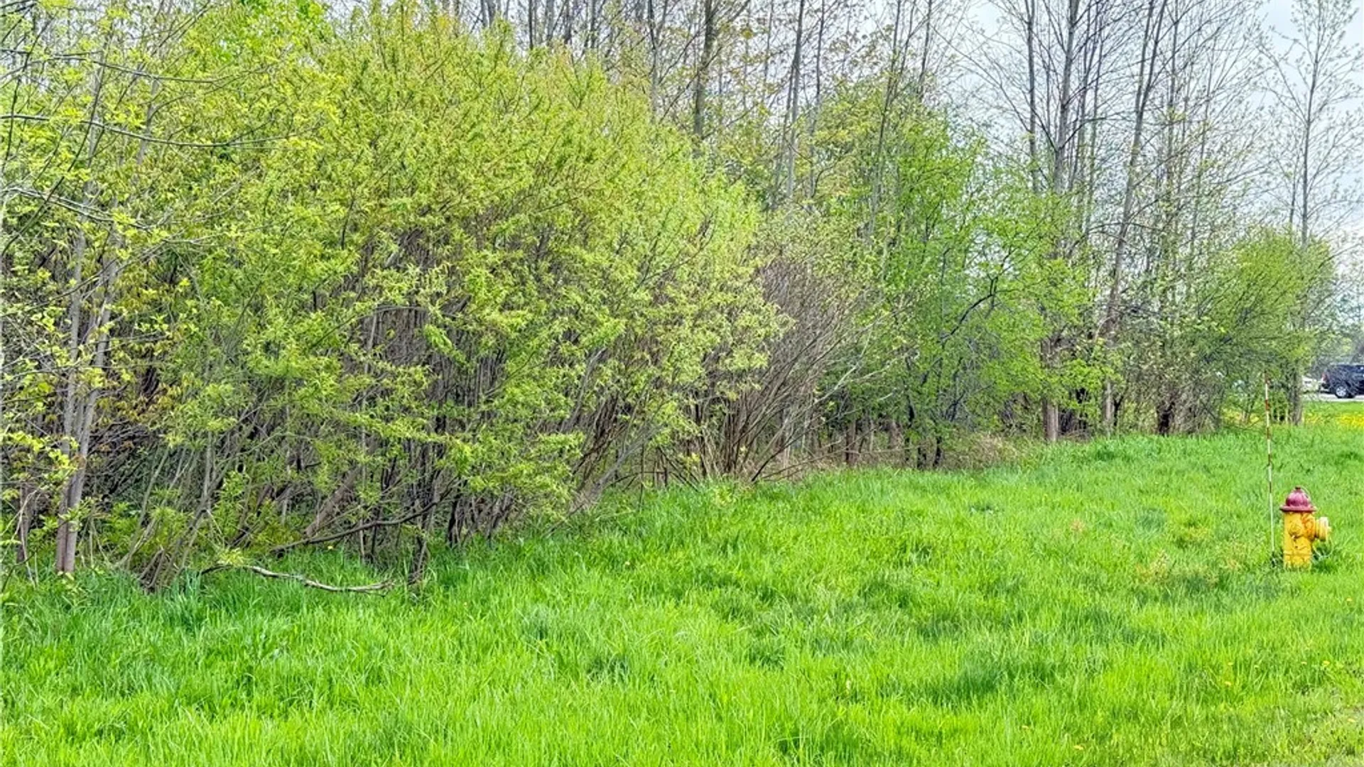 Property at 0 Klocks Corners Road, Scriba, NY 13126 8