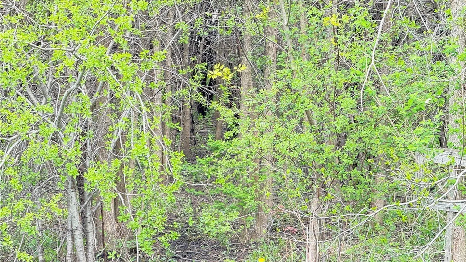 Property at 0 Klocks Corners Road, Scriba, NY 13126 9