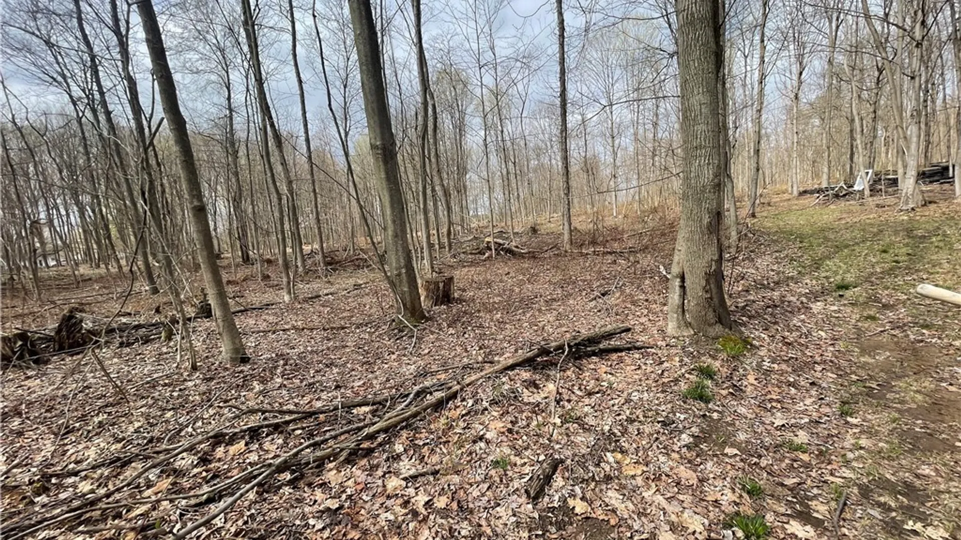 Property at 3442 County Route 57, Volney, NY 13126 16