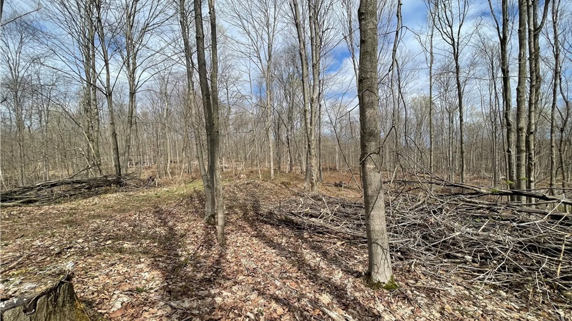 Property at 3442 County Route 57, Volney, NY 13126 17