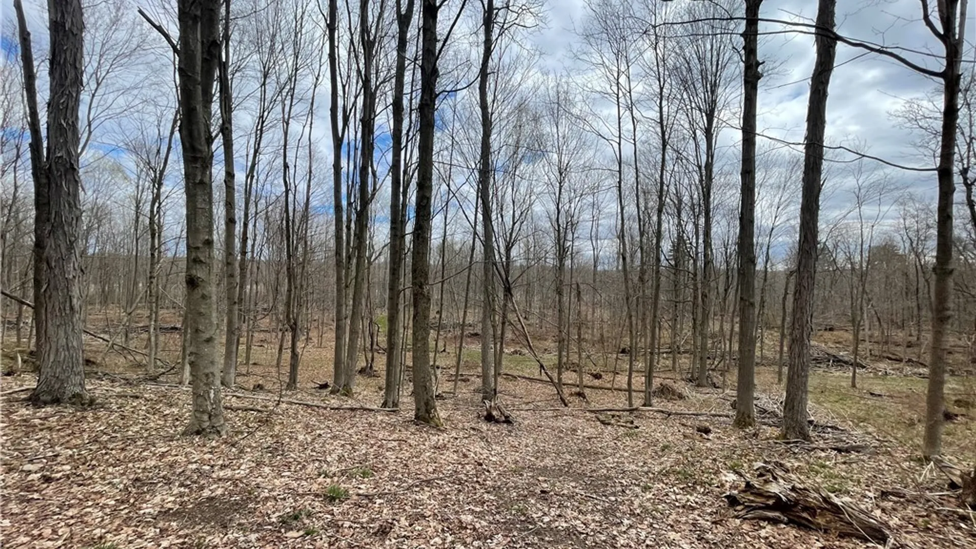 Property at 3442 County Route 57, Volney, NY 13126 19