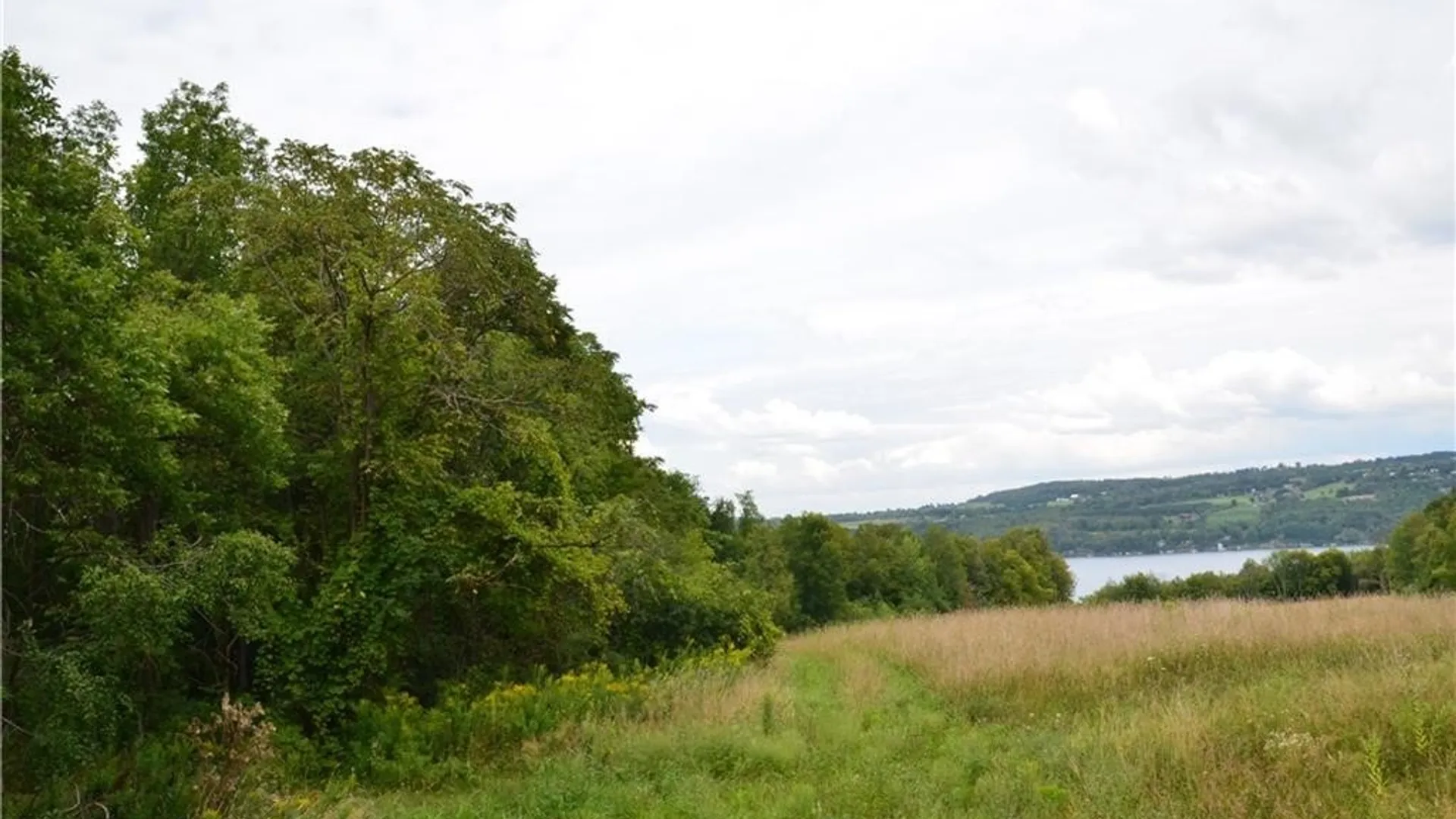 Property at 00 West Lake Road Street, Niles, NY 13152 12