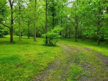 Property at 00 Chase Avenue, Springport, NY 13160