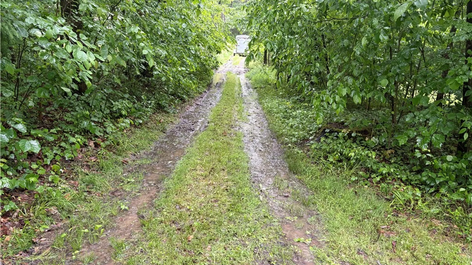 Property at Scott Road, Carroll, NY 14738 12