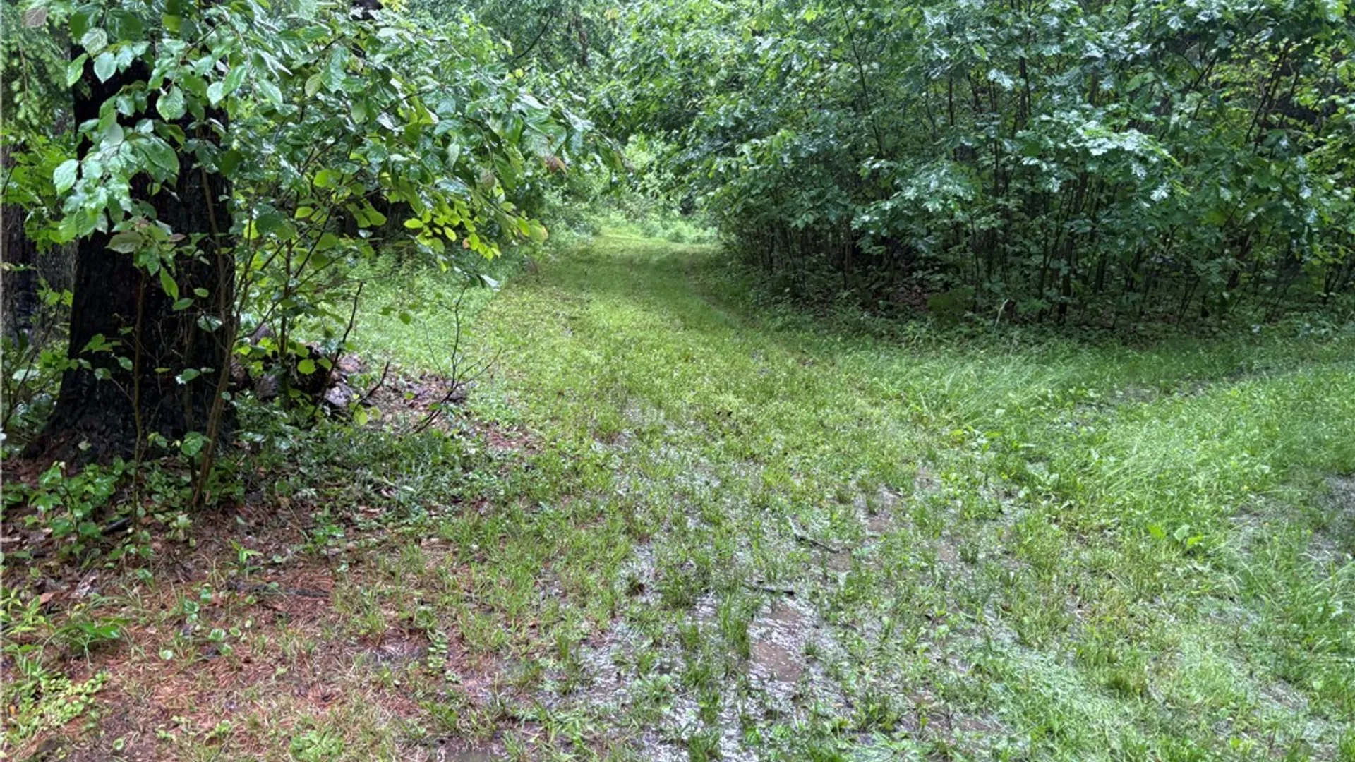 Property at Scott Road, Carroll, NY 14738 13