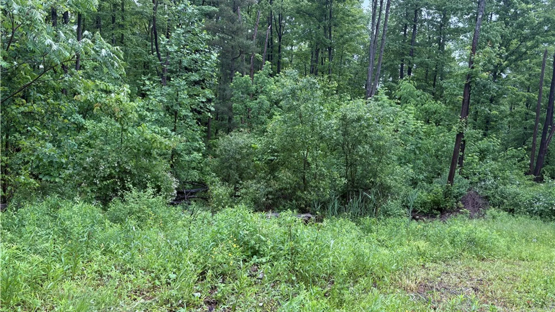 Property at Scott Road, Carroll, NY 14738 15