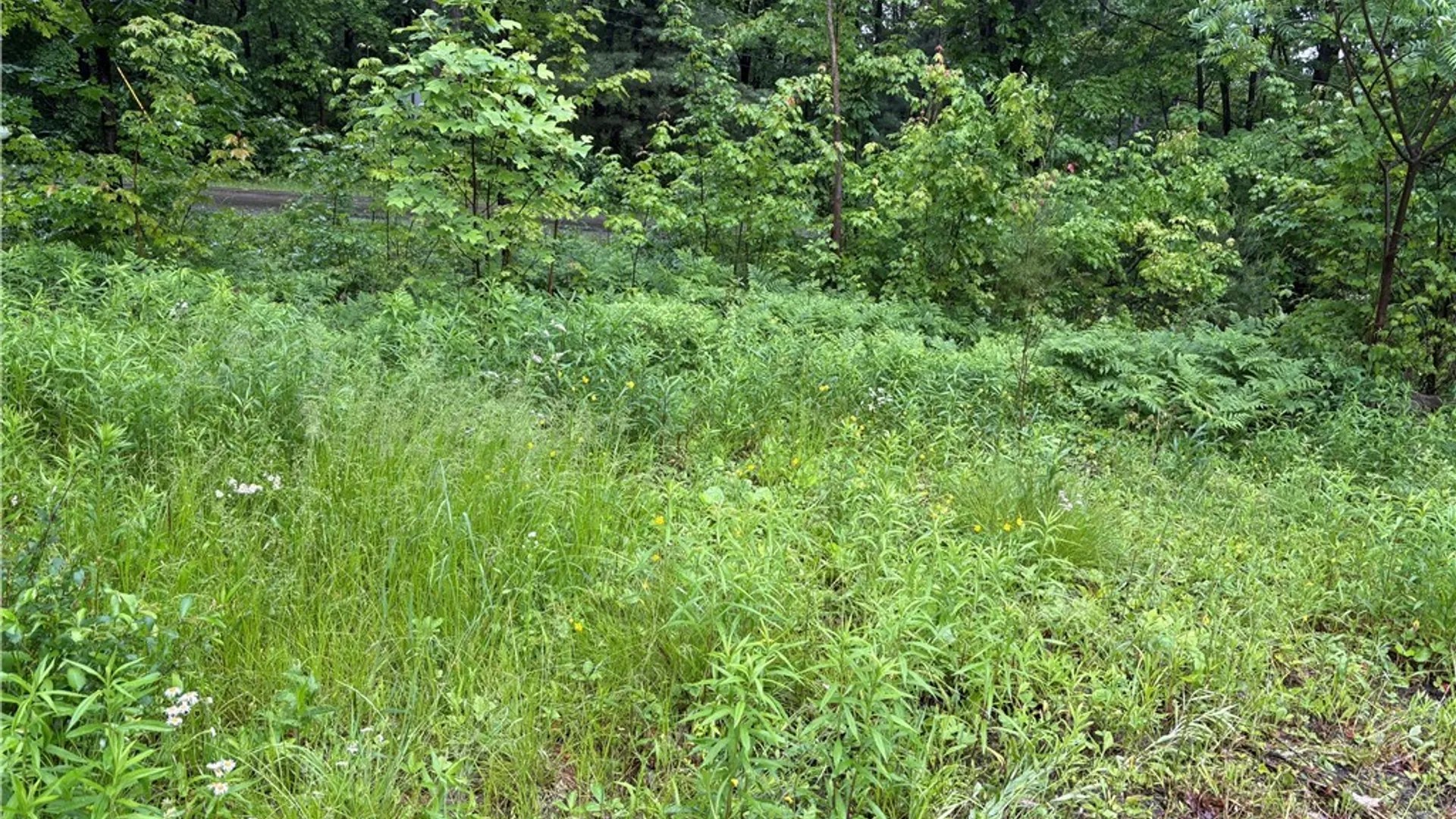 Property at Scott Road, Carroll, NY 14738 16