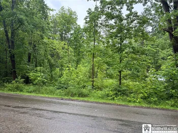 Scott Road, Carroll, NY 14738