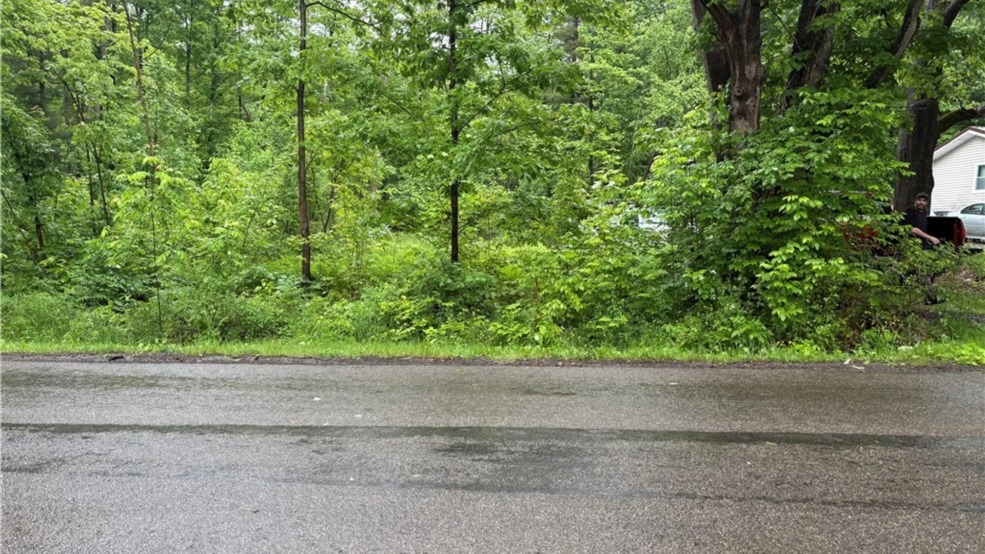 Property at Scott Road, Carroll, NY 14738 2