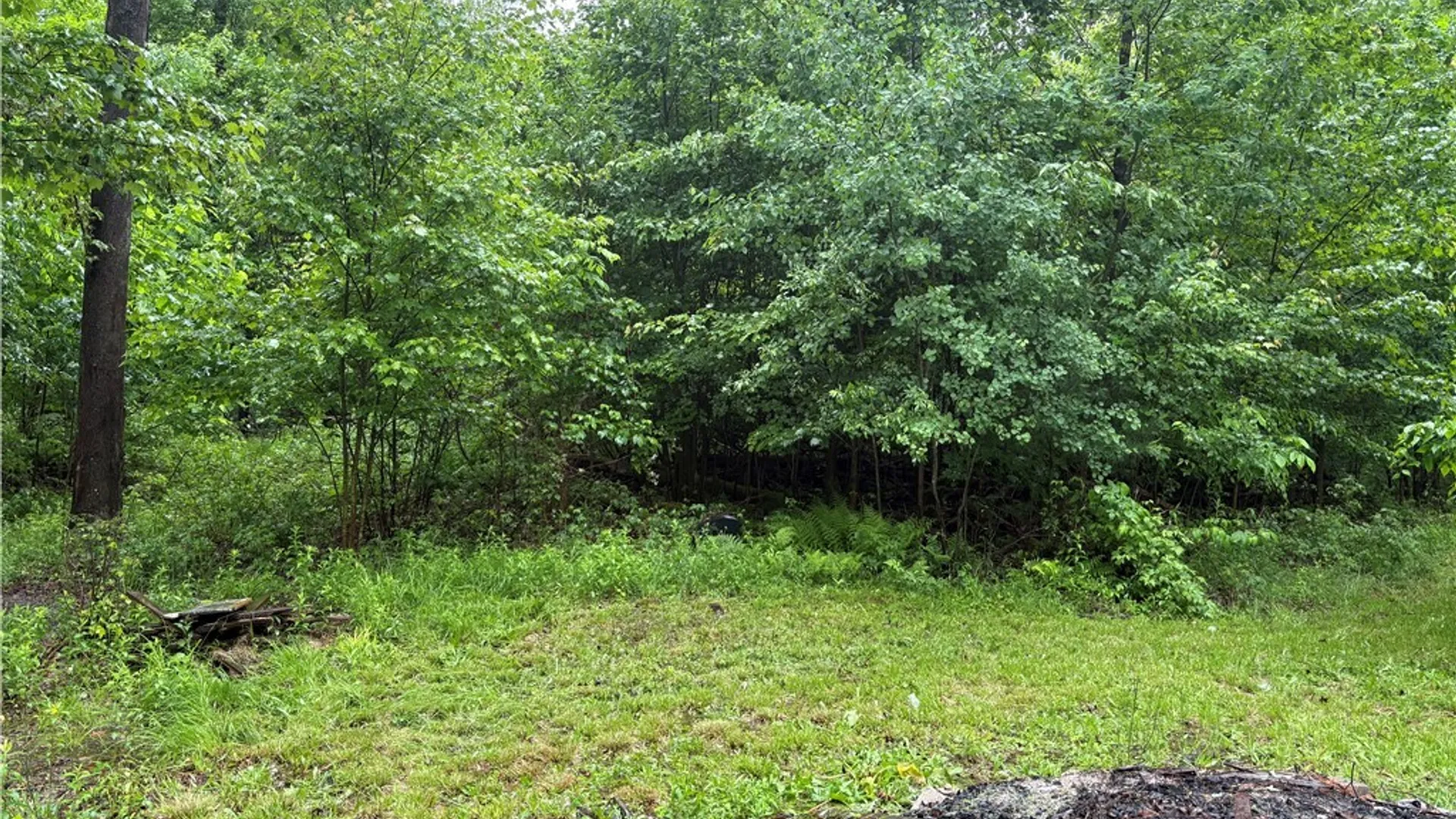 Property at Scott Road, Carroll, NY 14738 3