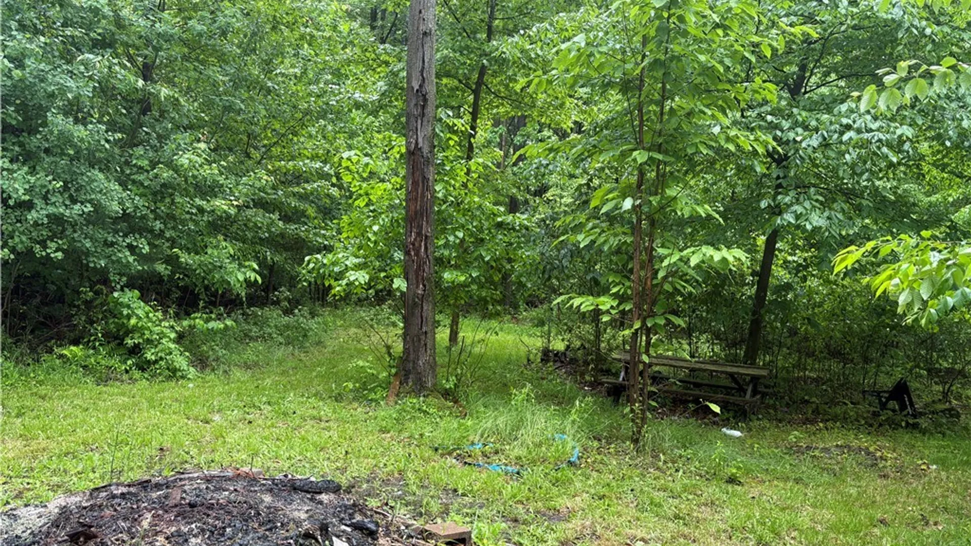 Property at Scott Road, Carroll, NY 14738 4