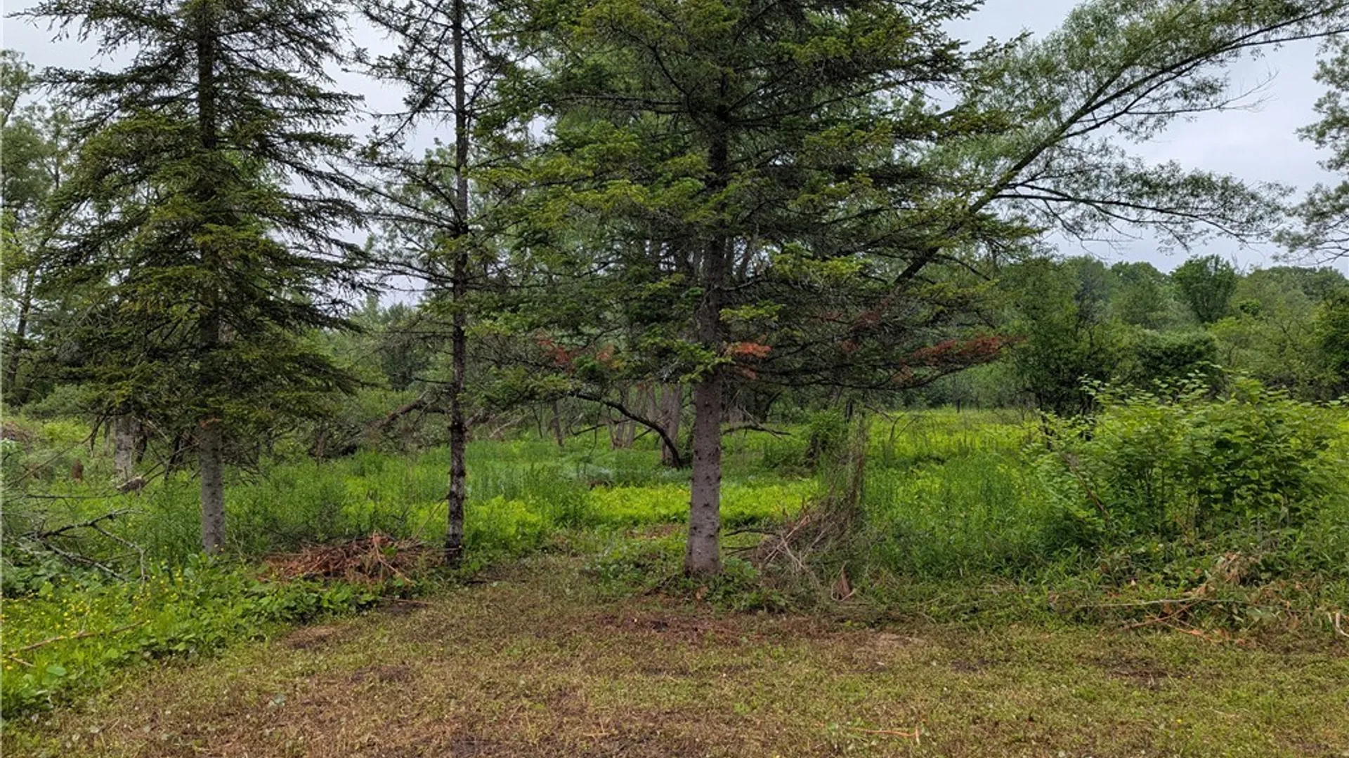 Property at 137 West Street, Boonville, NY 13309 4