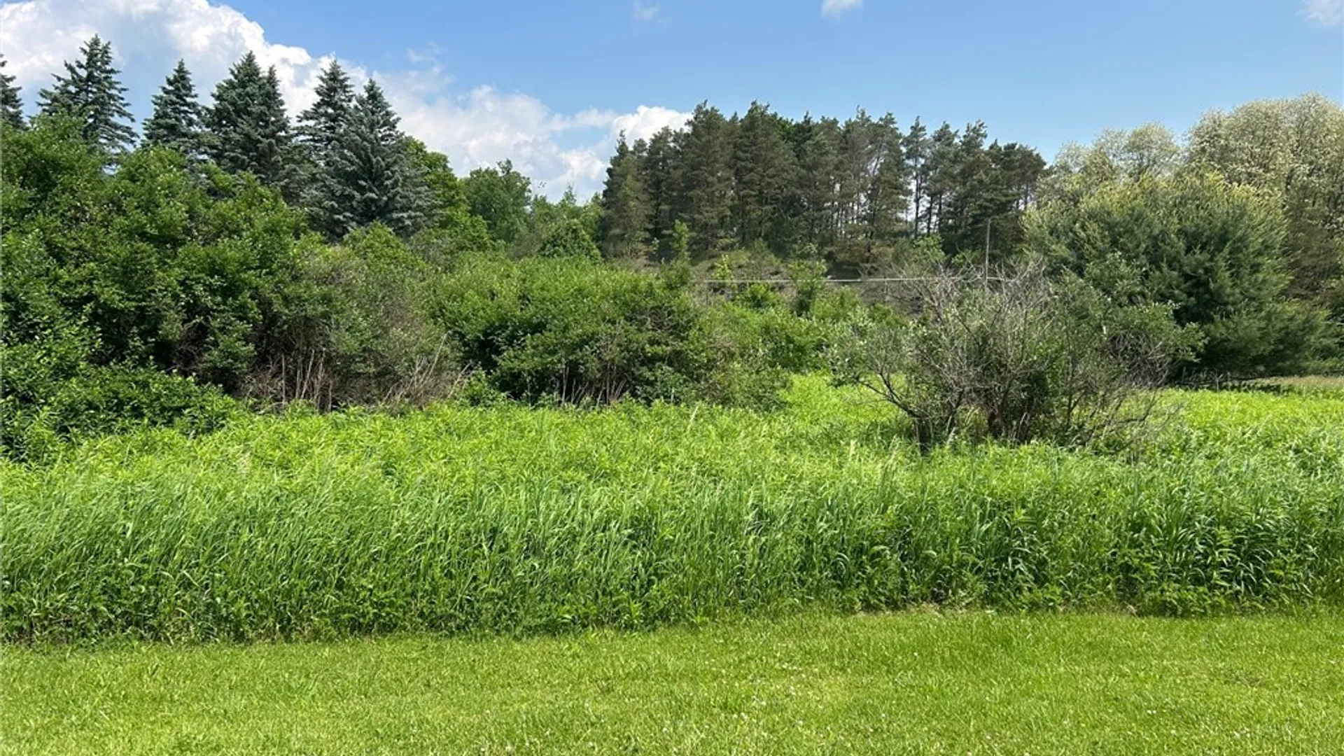 Property at 0 Clark Rd Extension, Almond, NY 14803 10