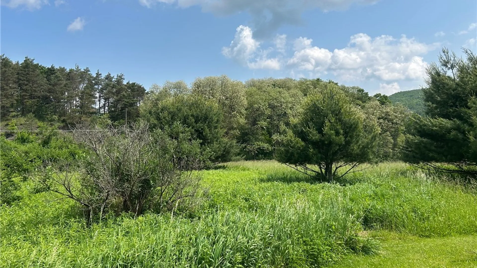 Property at 0 Clark Rd Extension, Almond, NY 14803 11