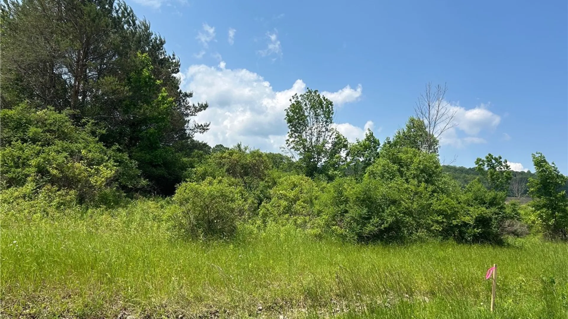 Property at 0 Clark Rd Extension, Almond, NY 14803 13