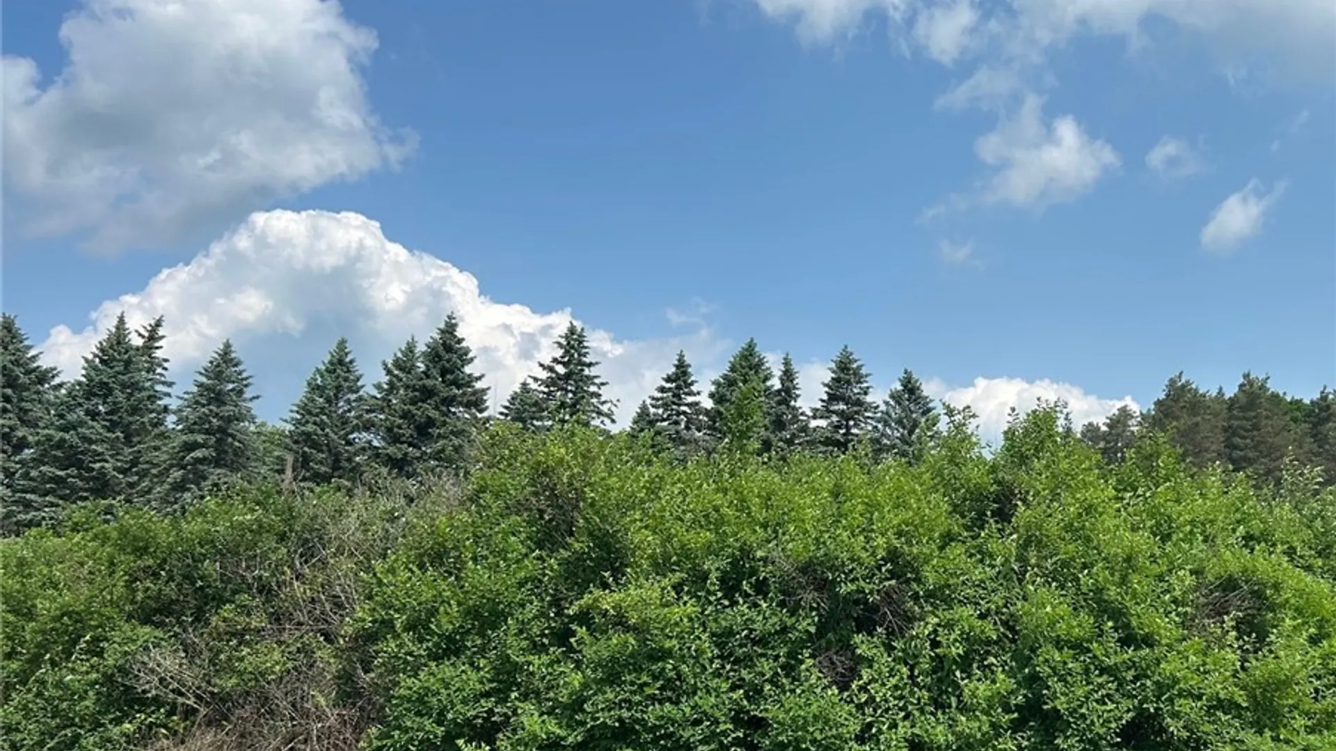 Property at 0 Clark Rd Extension, Almond, NY 14803 6