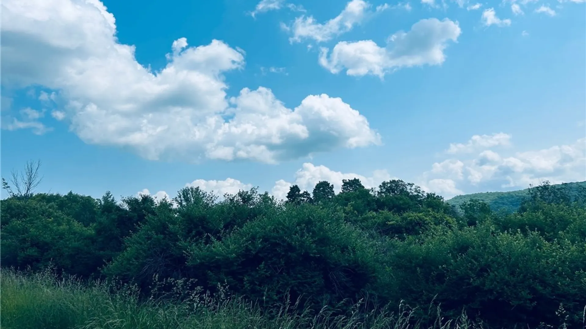 Property at 0 Clark Rd Extension, Almond, NY 14803 7