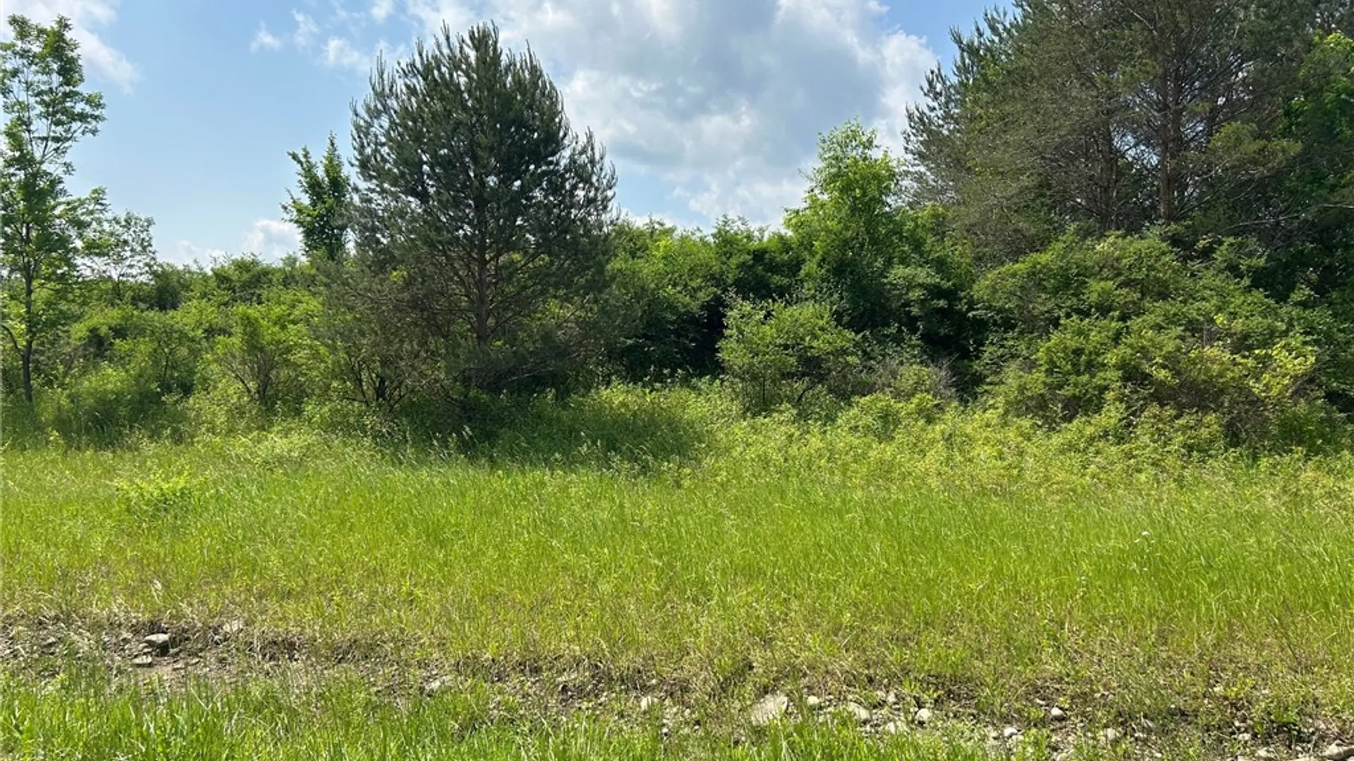 Property at 0 Clark Rd Extension, Almond, NY 14803 8