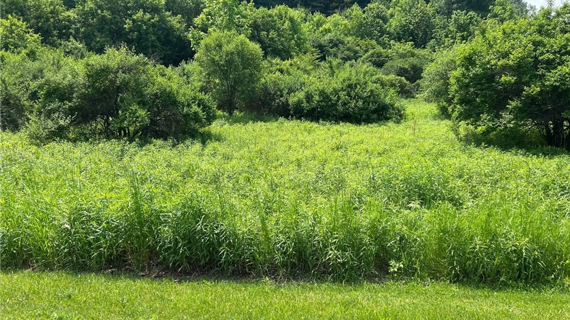 Property at 0 Clark Rd Extension, Almond, NY 14803 9