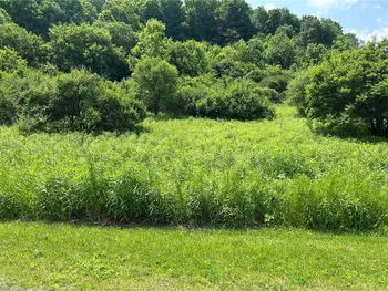 0 Clark Rd Extension, Almond, NY 14803