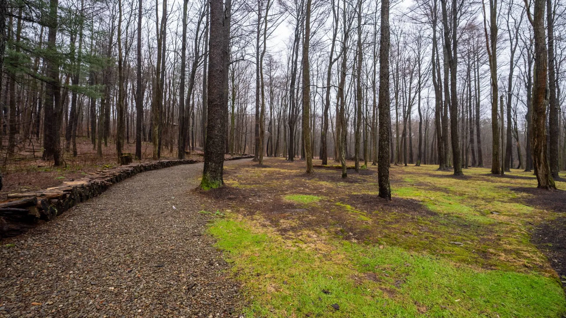 Property at 2278 W Mina Rd, Clymer, NY 14724 25