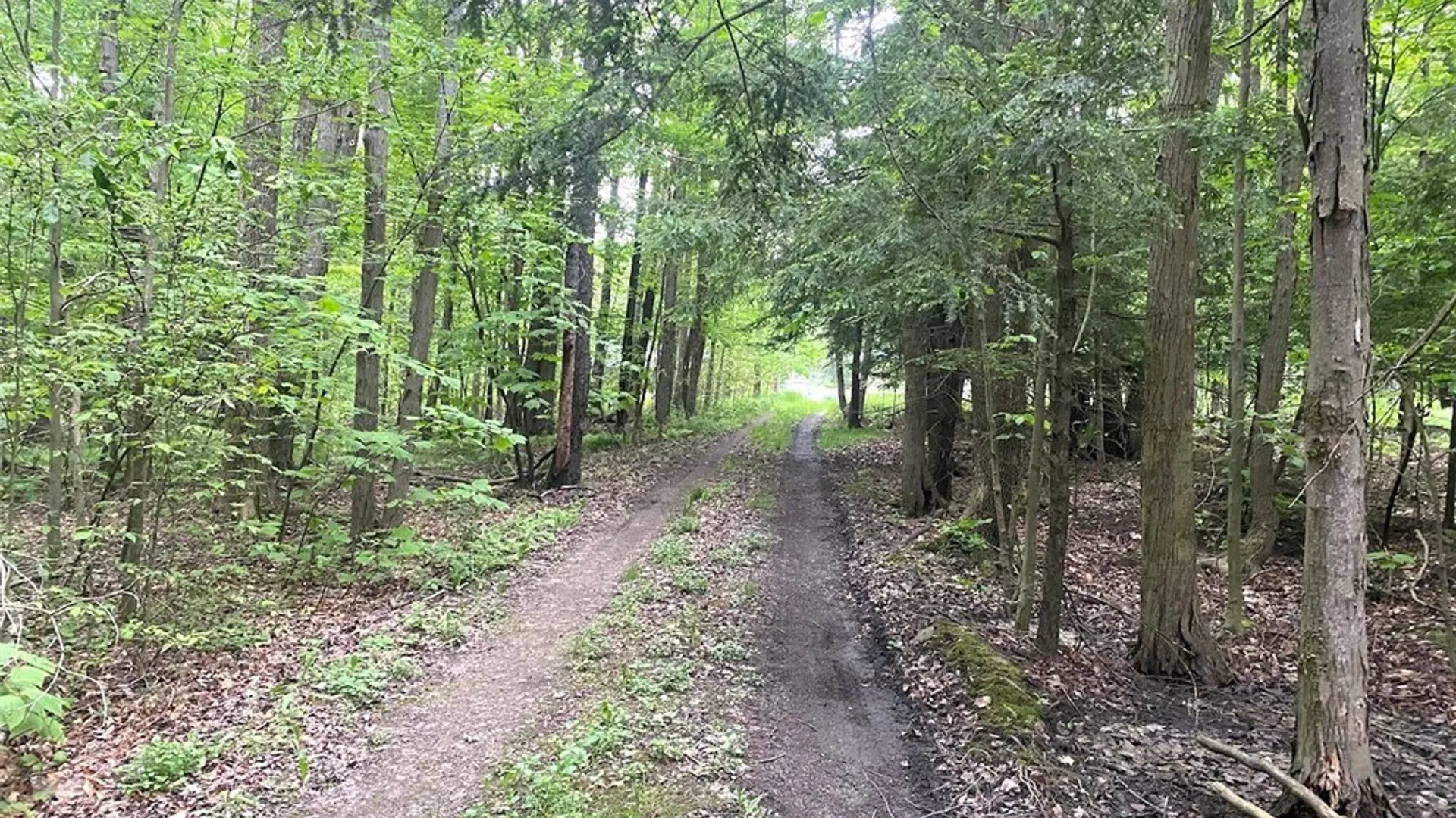 Property at 3656 Putt Brook Road, Ward, NY 14880 35