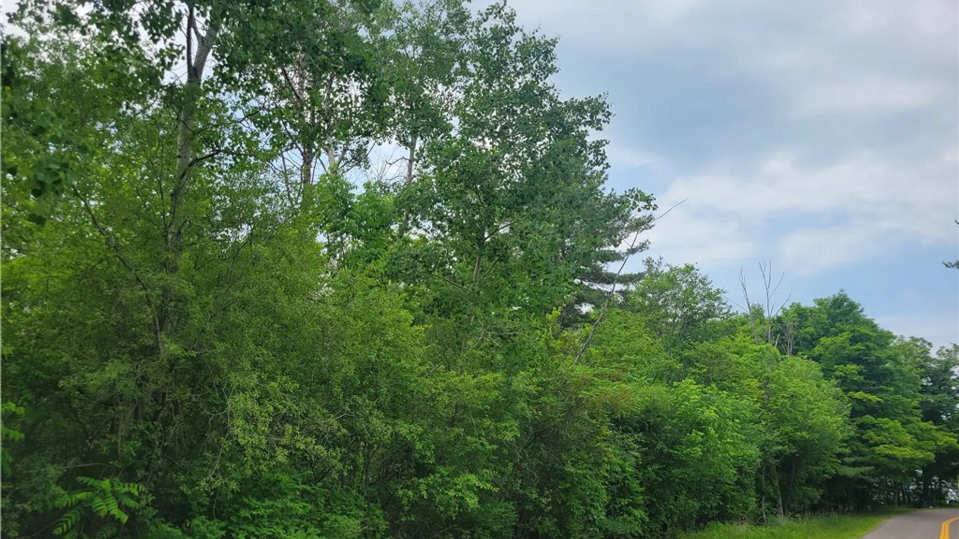 Property at 00 State Route 54, Wayne, NY 14840 11