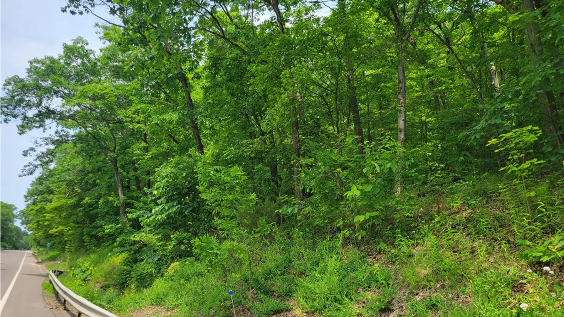 Property at 00 State Route 54, Wayne, NY 14840 13