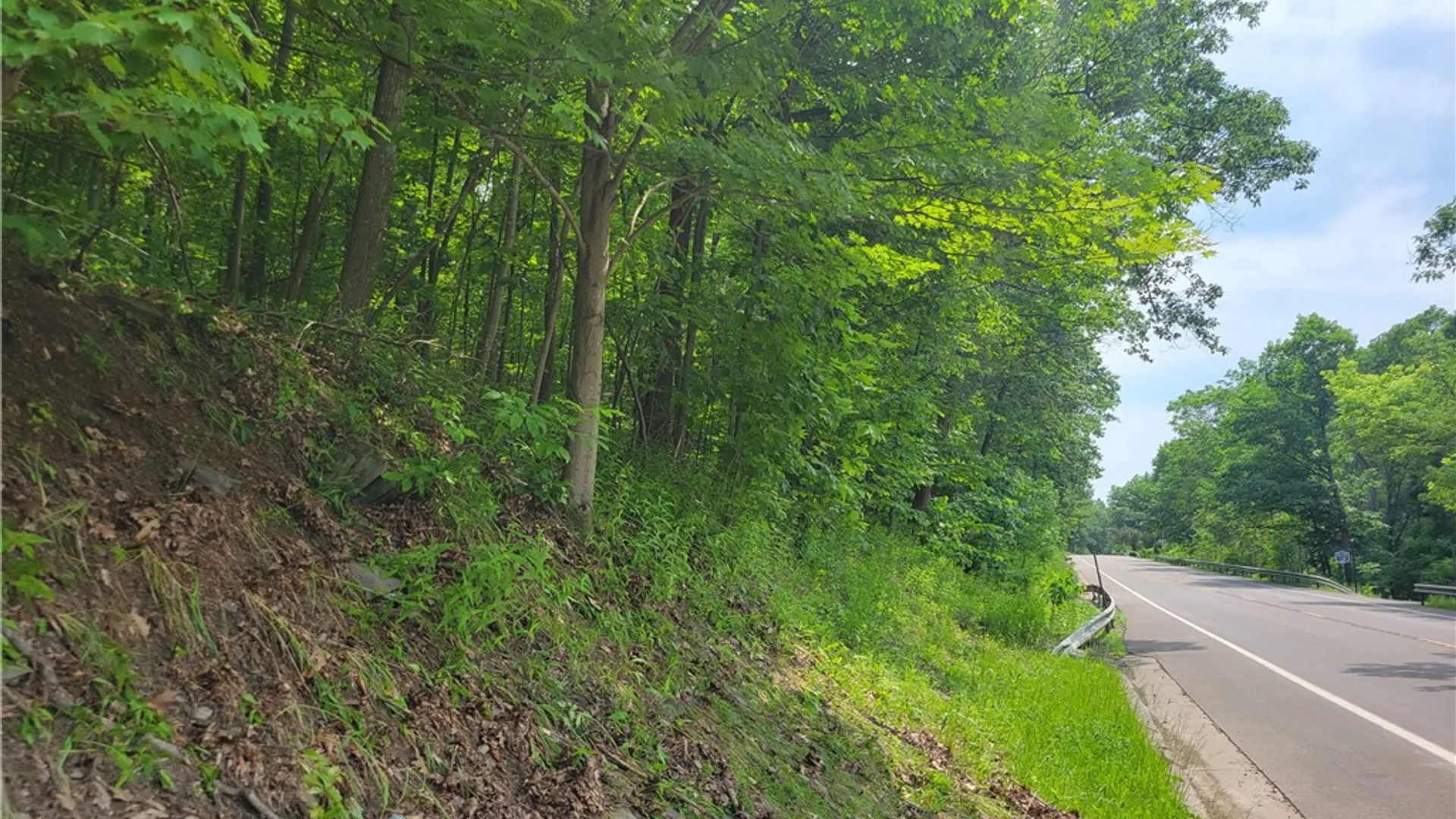 Property at 00 State Route 54, Wayne, NY 14840 14