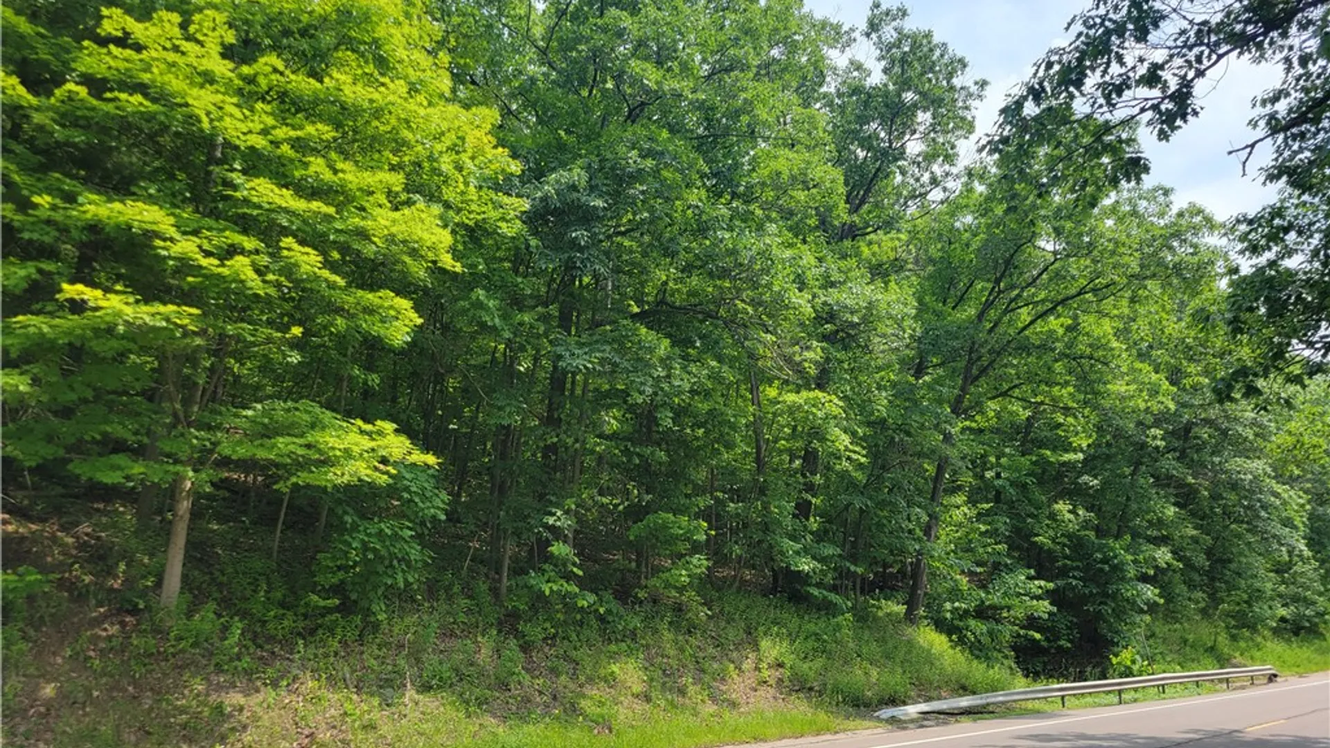 Property at 00 State Route 54, Wayne, NY 14840 4