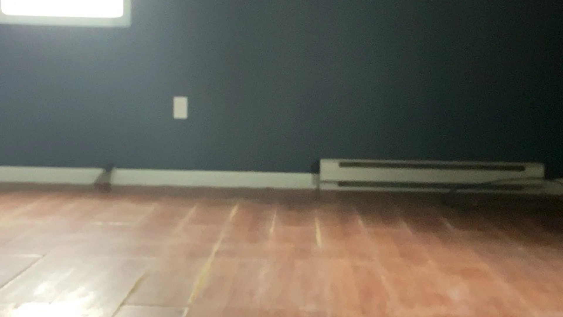 Property at 117 Wrench Lane, Coventry, NY 13733 13