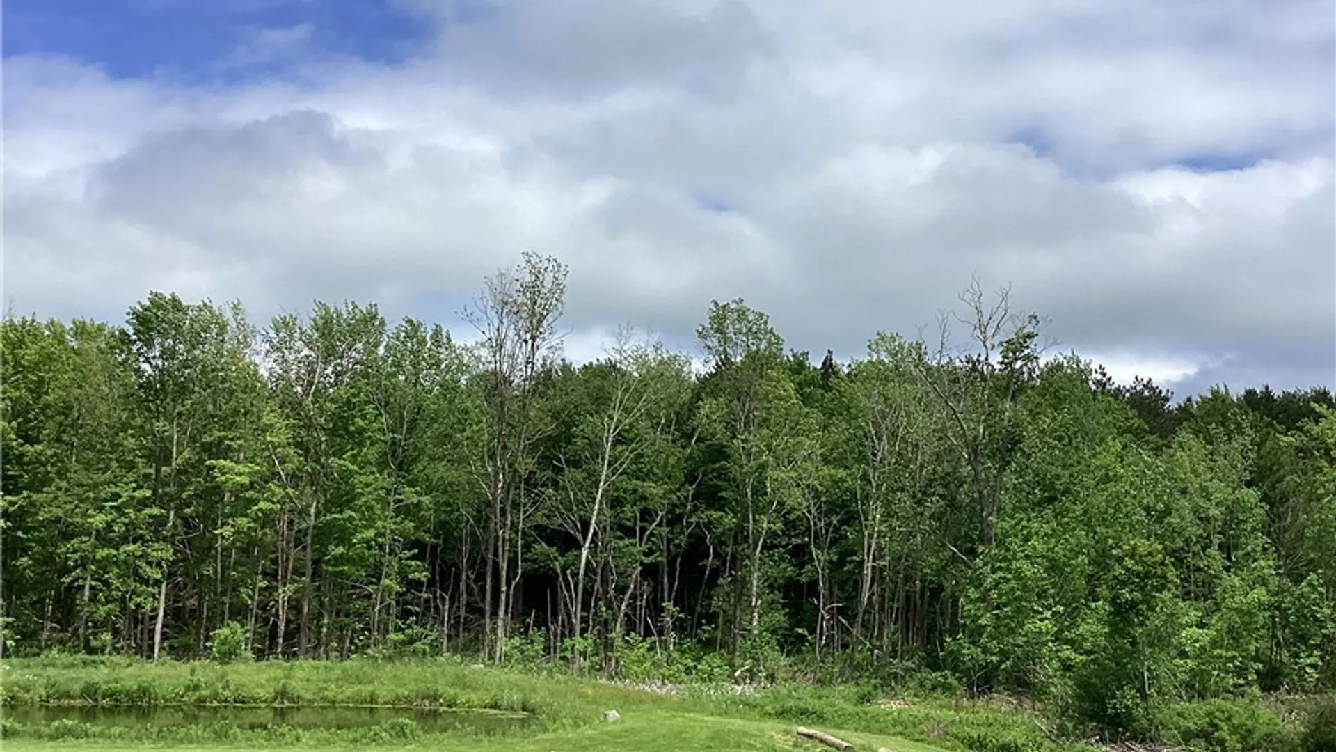 Property at 117 Wrench Lane, Coventry, NY 13733 24