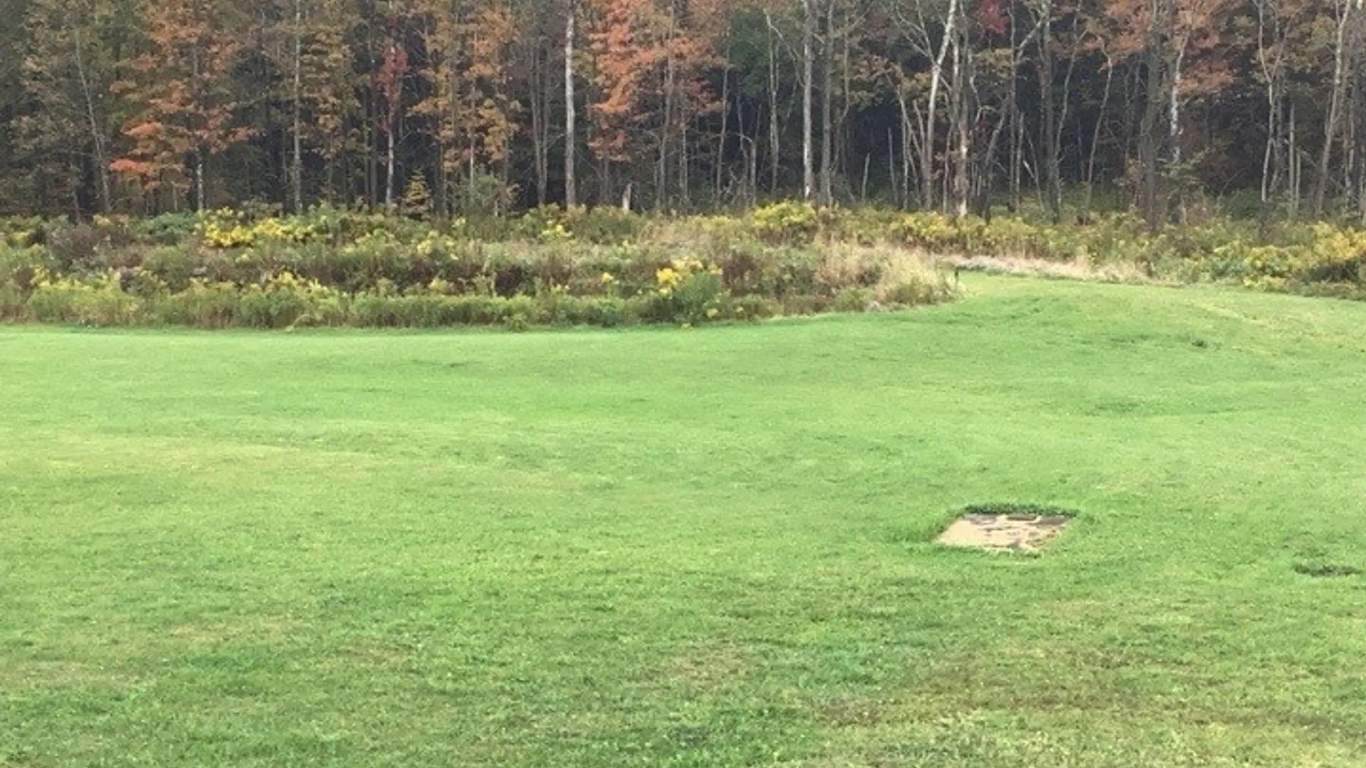 Property at 117 Wrench Lane, Coventry, NY 13733 28