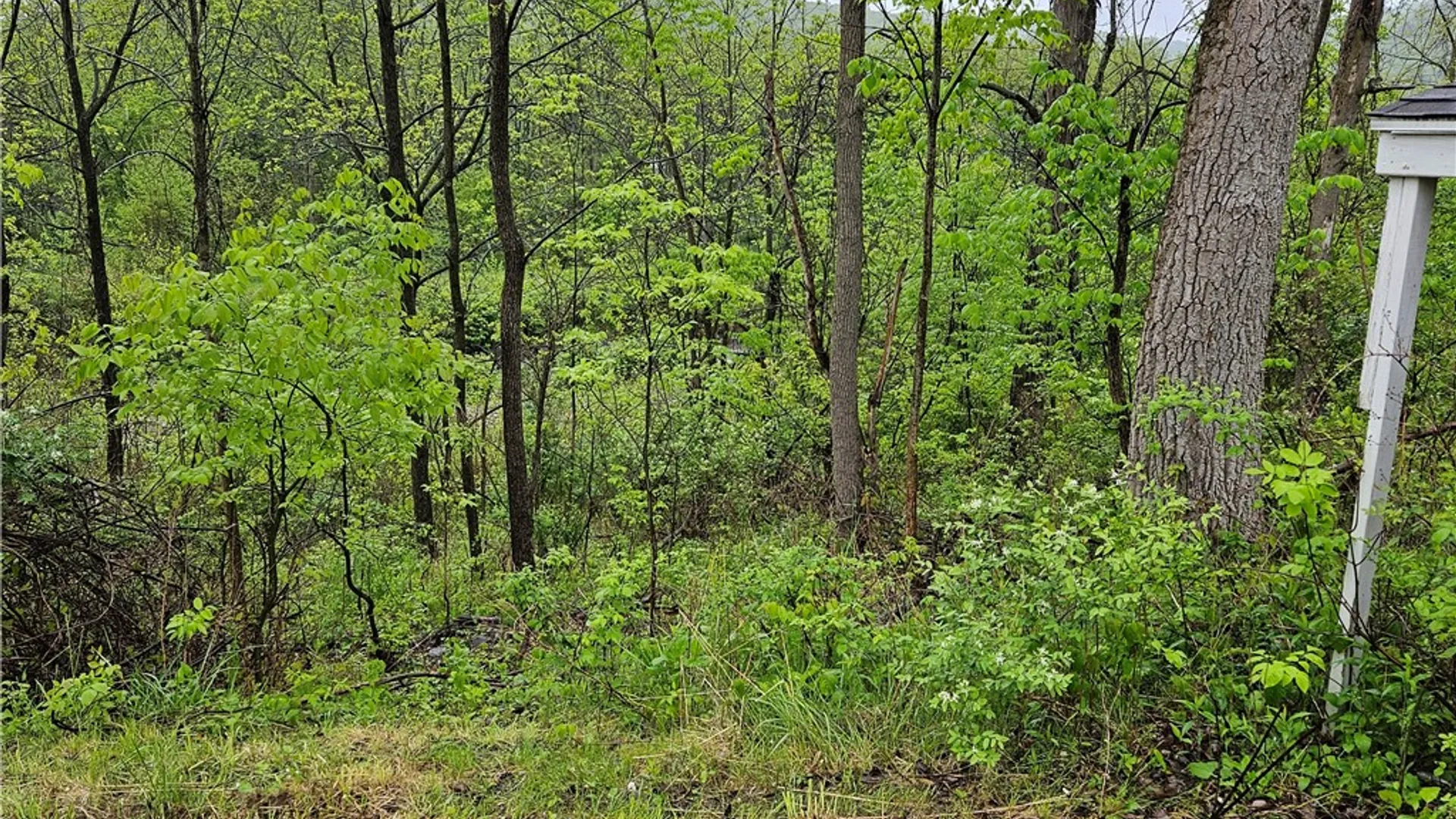 Property at 284 Berwick Turnpike, Ashland, NY 14894 2