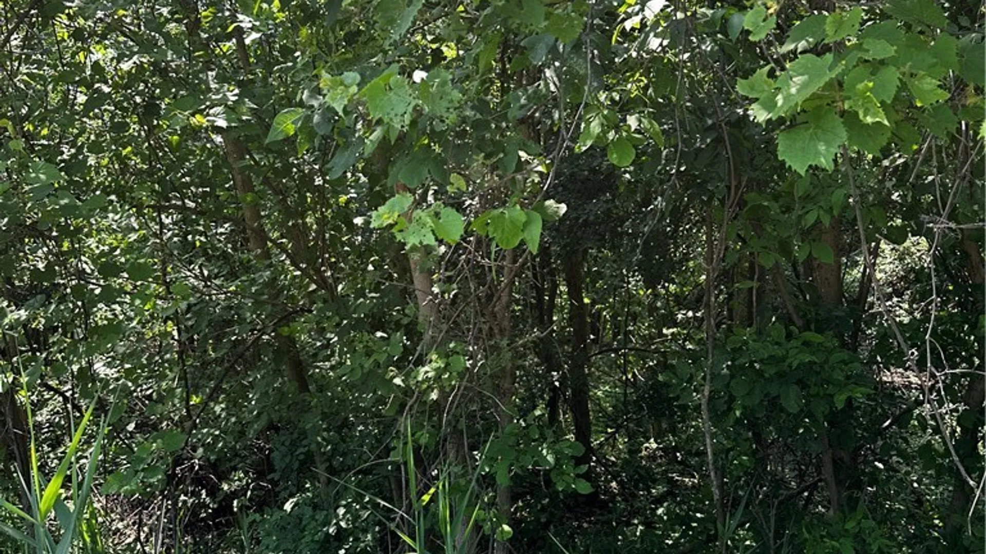 Property at 3350 Niagara Falls Boulevard, Amherst, NY 14228 4