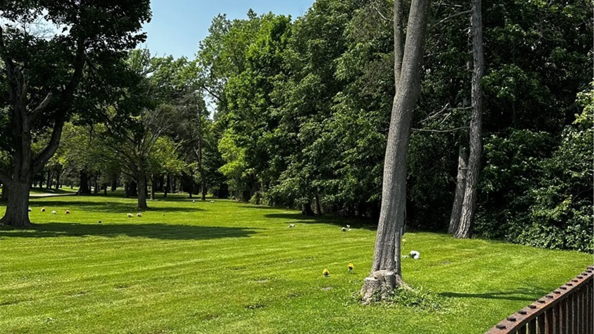 Property at 3350 Niagara Falls Boulevard, Amherst, NY 14228 6