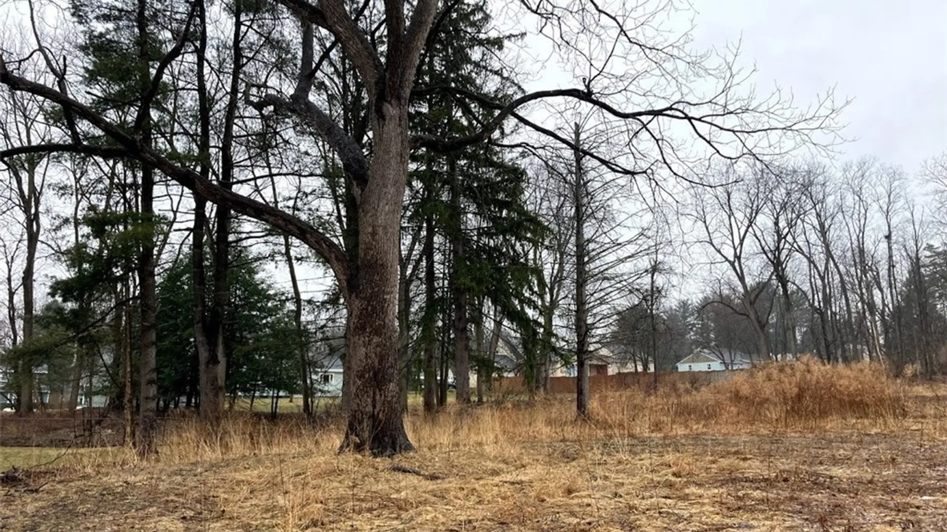 Property at 129 Westmoreland Street, Whitestown, NY 13492 4