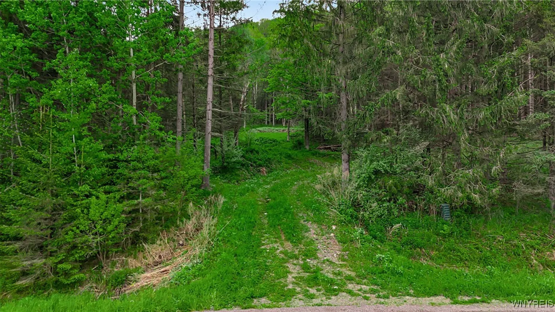 Property at VL Maples Road, Mansfield, NY 14755 3