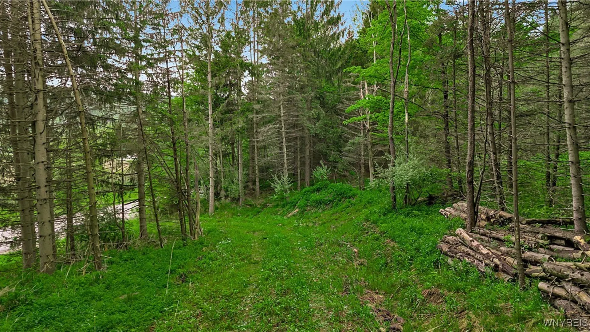 Property at VL Maples Road, Mansfield, NY 14755 5
