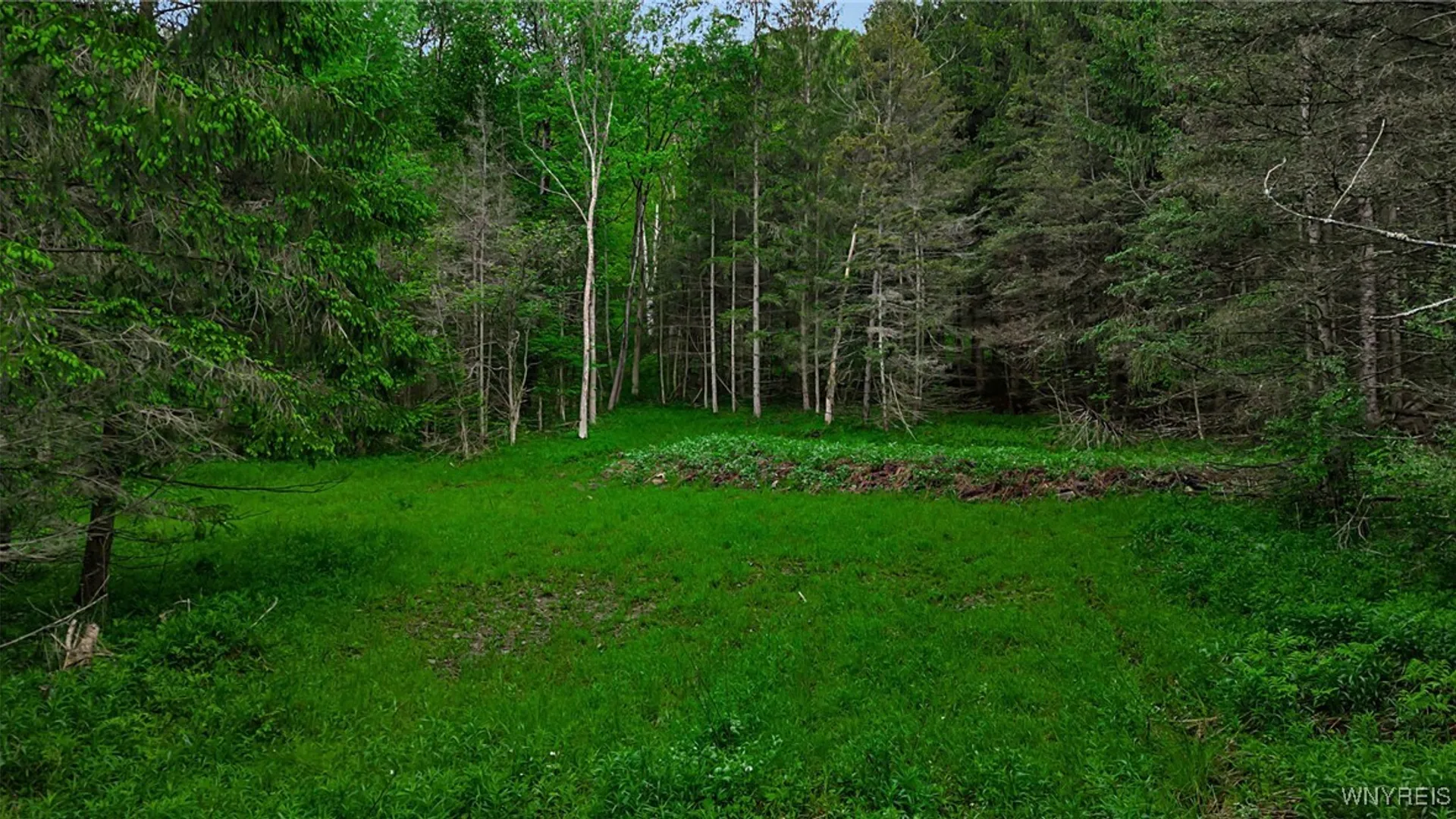 Property at VL Maples Road, Mansfield, NY 14755 7