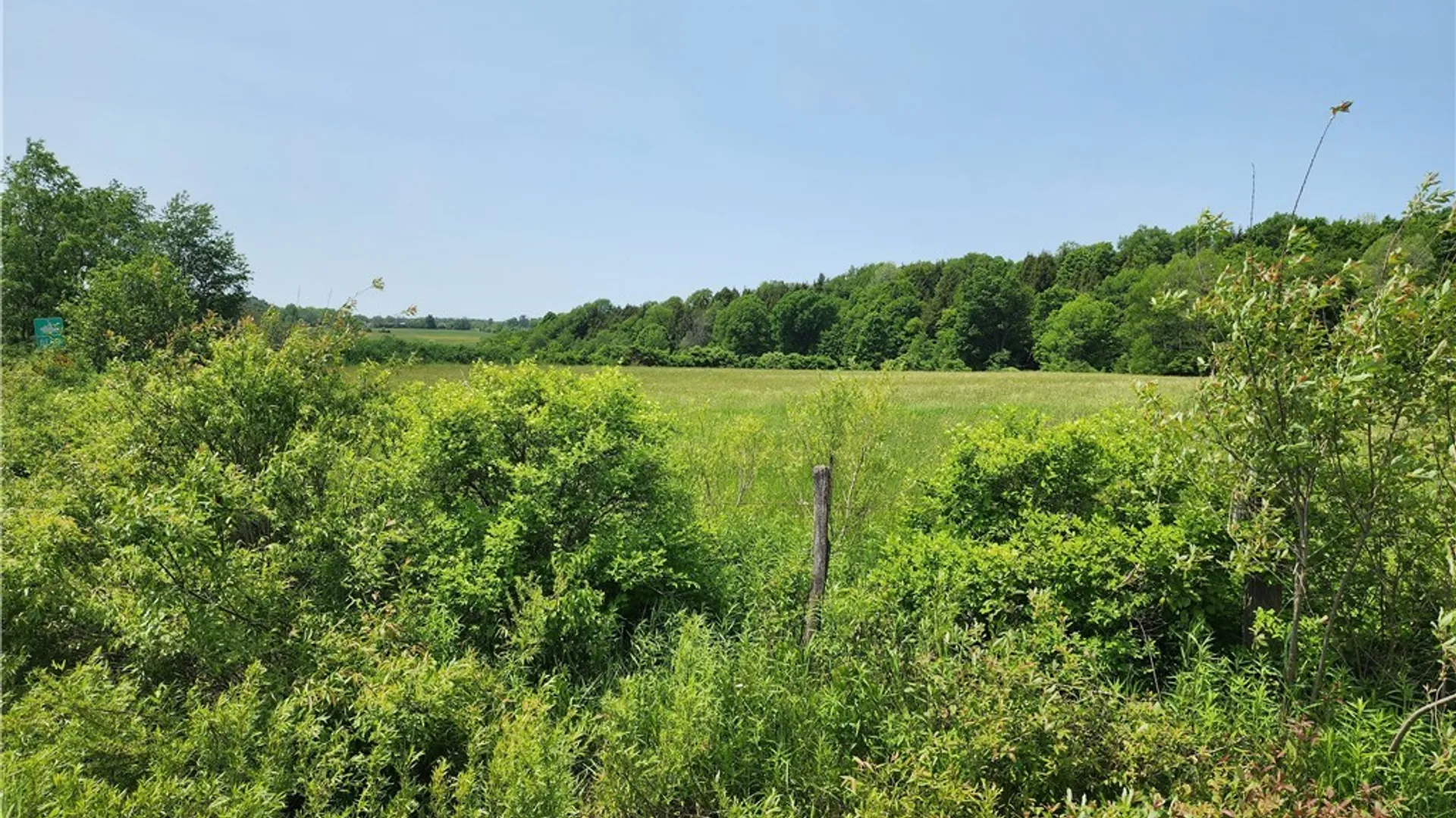 Property at 0 County Road 13, Ripley, NY 14775 6