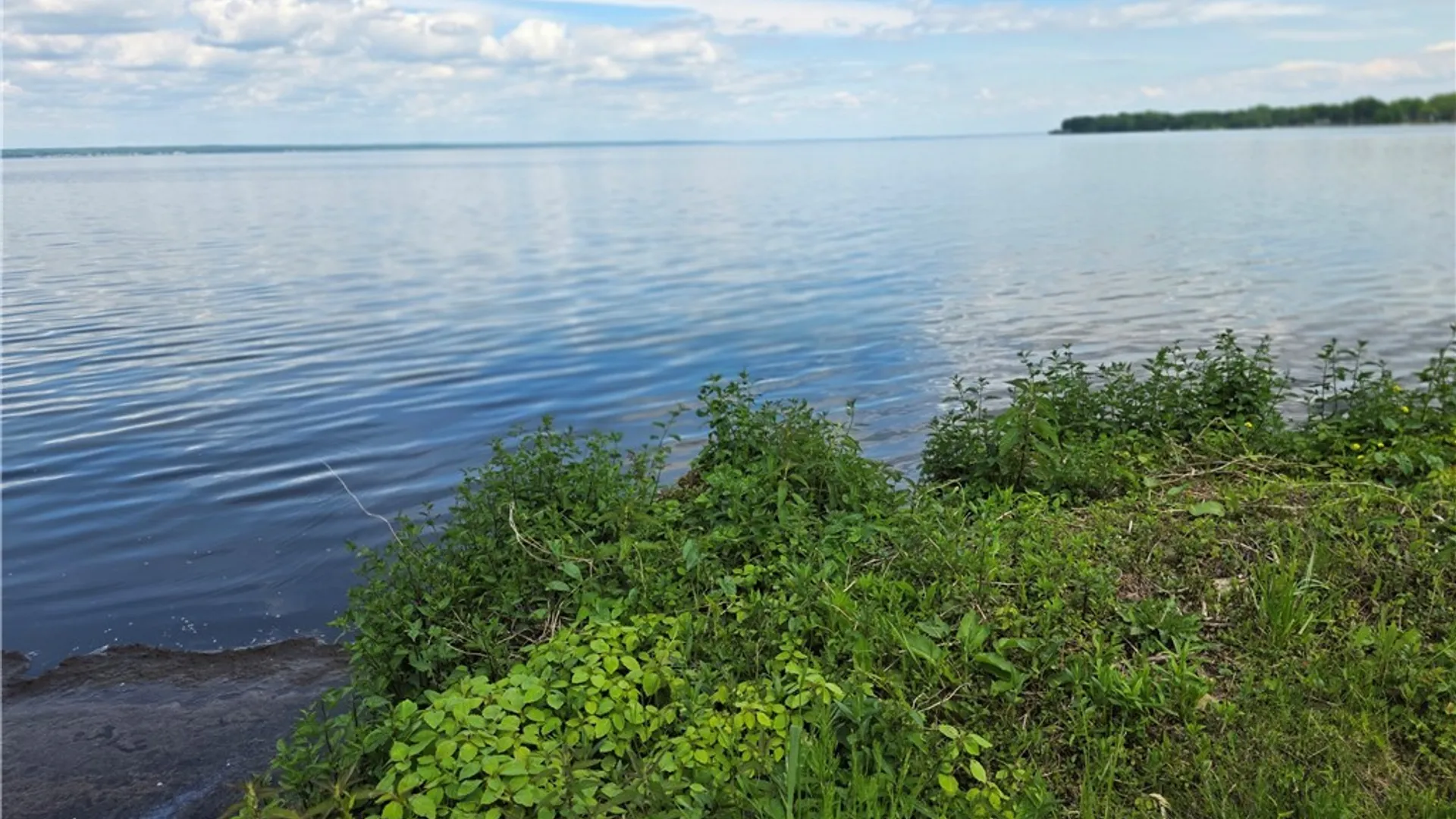 Property at 9395 Lakeshore View Road, Sullivan, NY 13037 25